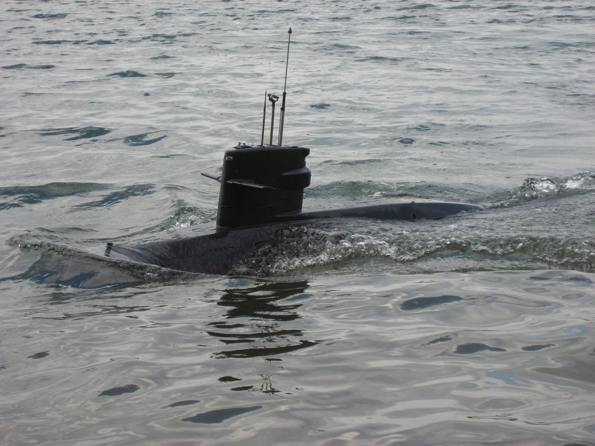 11.06.Tijg-037-scaled